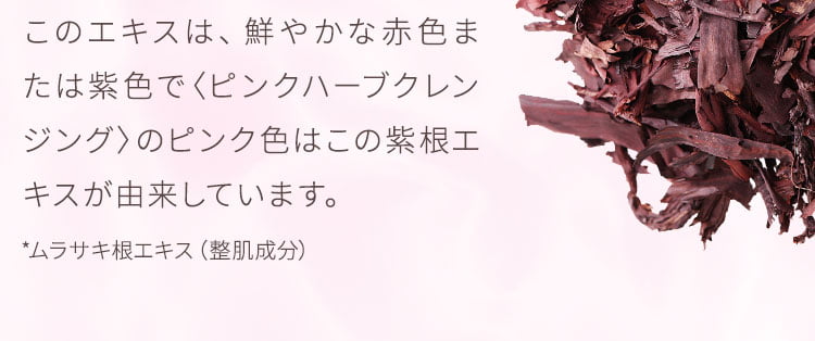 多年草「ムラサキ」の根を乾燥させたものです。